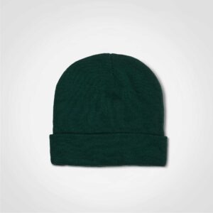 Beanie (Biz)